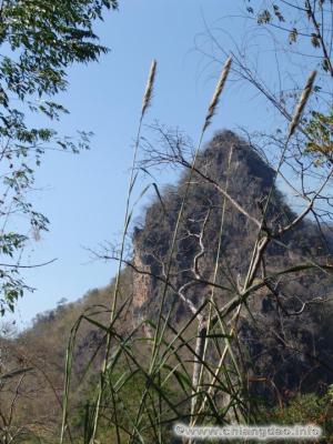 thumbs/0042---Doi-Chiang-Dao--0012.jpg